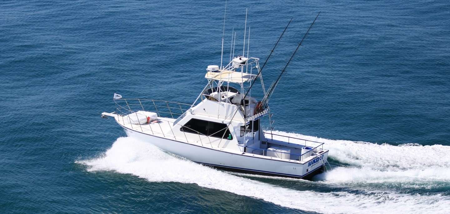 Boats & Fishing Charters