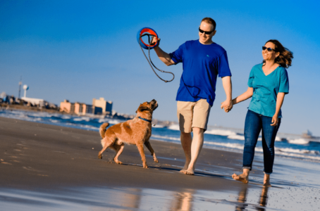 Pet-Friendly Vacation Rentals Charleston SC