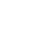 Local expert support