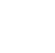 VIP planning assistance