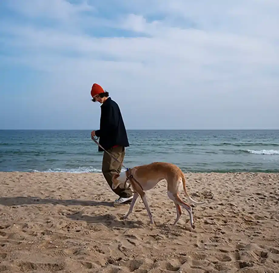 Pet Friendly Vacation Rentals in Charleston