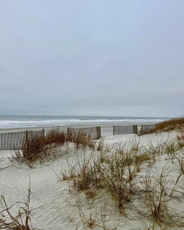 Charleston has some of the most beautiful beaches on the coast, each with its own unique charm. Folly Beach brings the fun, Sullivan’s Island offers peaceful vibes, and Isle of Palms is perfect for families and relaxation.

No matter your style, there’s a beach waiting for you 🏖️ 

Head to YourPadBookings.com to find a stay near your favorite shoreline!